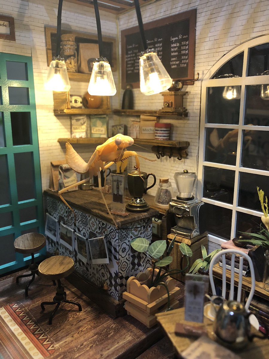 This is probably the best thing I've ever done