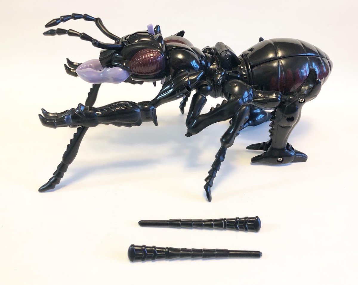 soyrapido's tweet photo. Letting go of a few gems. Potentially more to come… https://t.co/I4aMFX3Q6a #antagony #botcon #botcon1998 #botcon2005 #ratchet #forsale #transformers https://t.co/gQ3isaVJLo