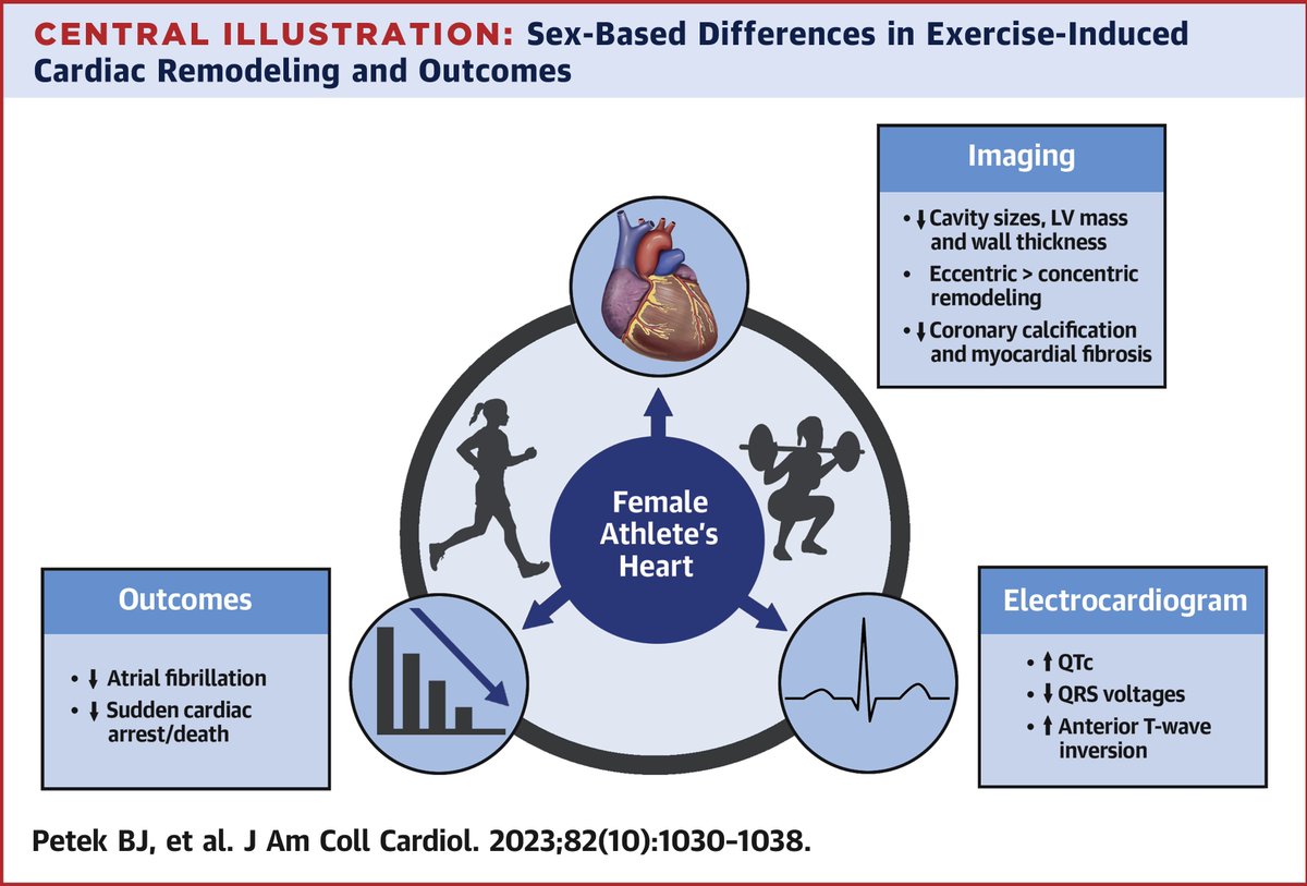#JACC Review Topic of the Week: Impact of Sex on CV Adaptations to Exercise

Read the top 10 important points from the review: bit.ly/3PwYOV0 #SportsCardio
