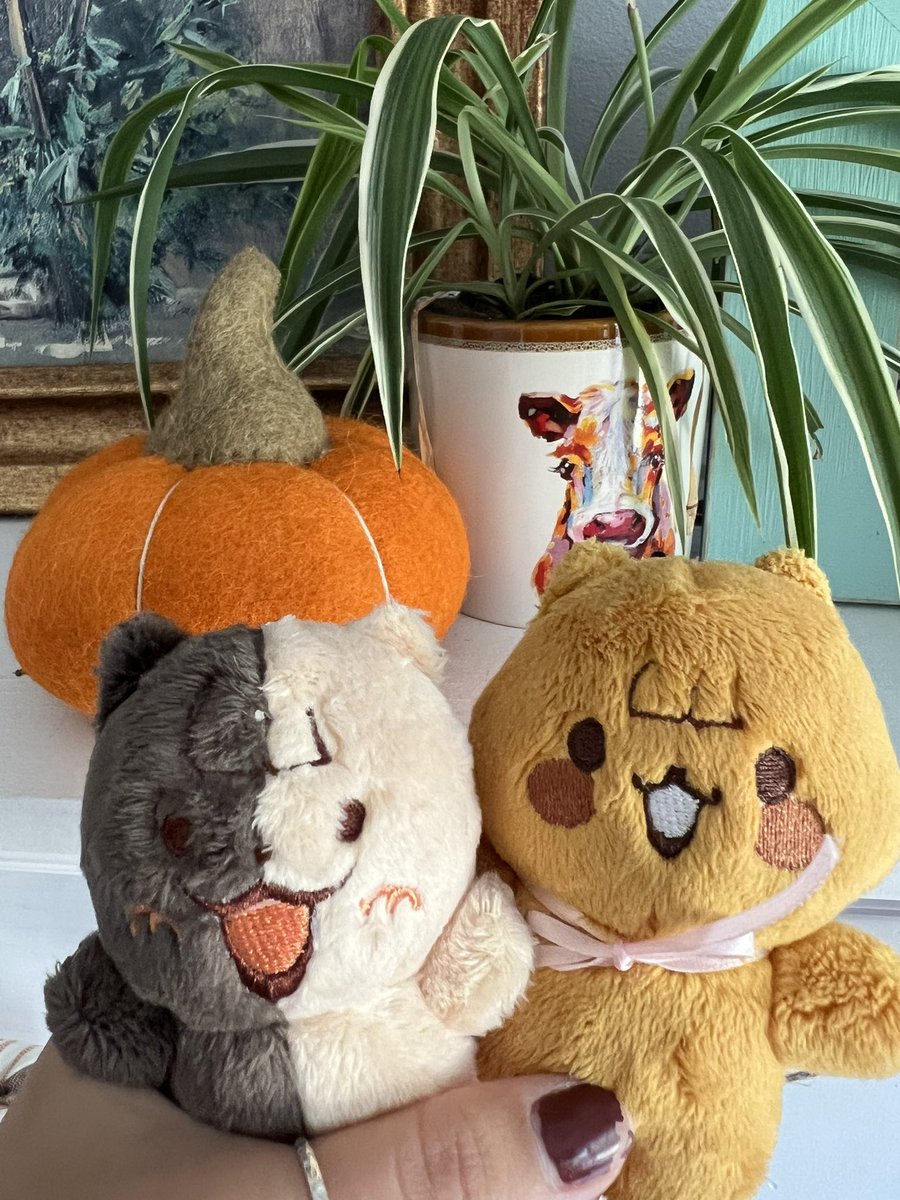 hongmoni's tweet photo. HE IS HOME !!! 🐿️🖤🤍 https://t.co/euKWX9WBCi