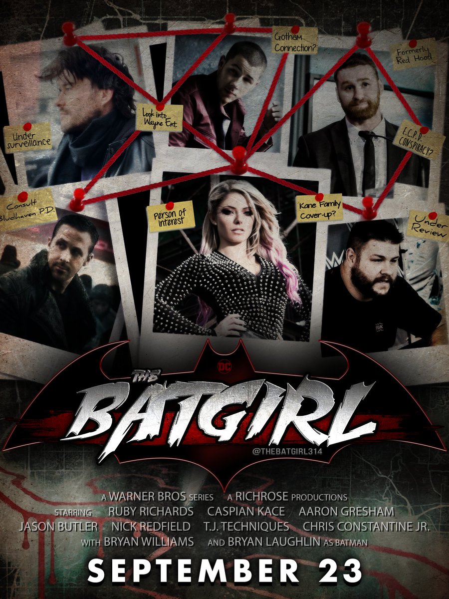 The Batgirl (@thebatgirl314) on Twitter photo 