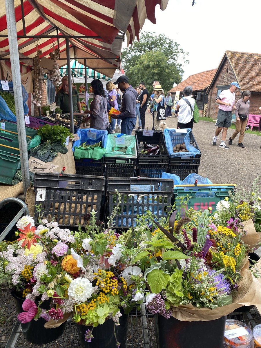 Food Gatherer tweet media