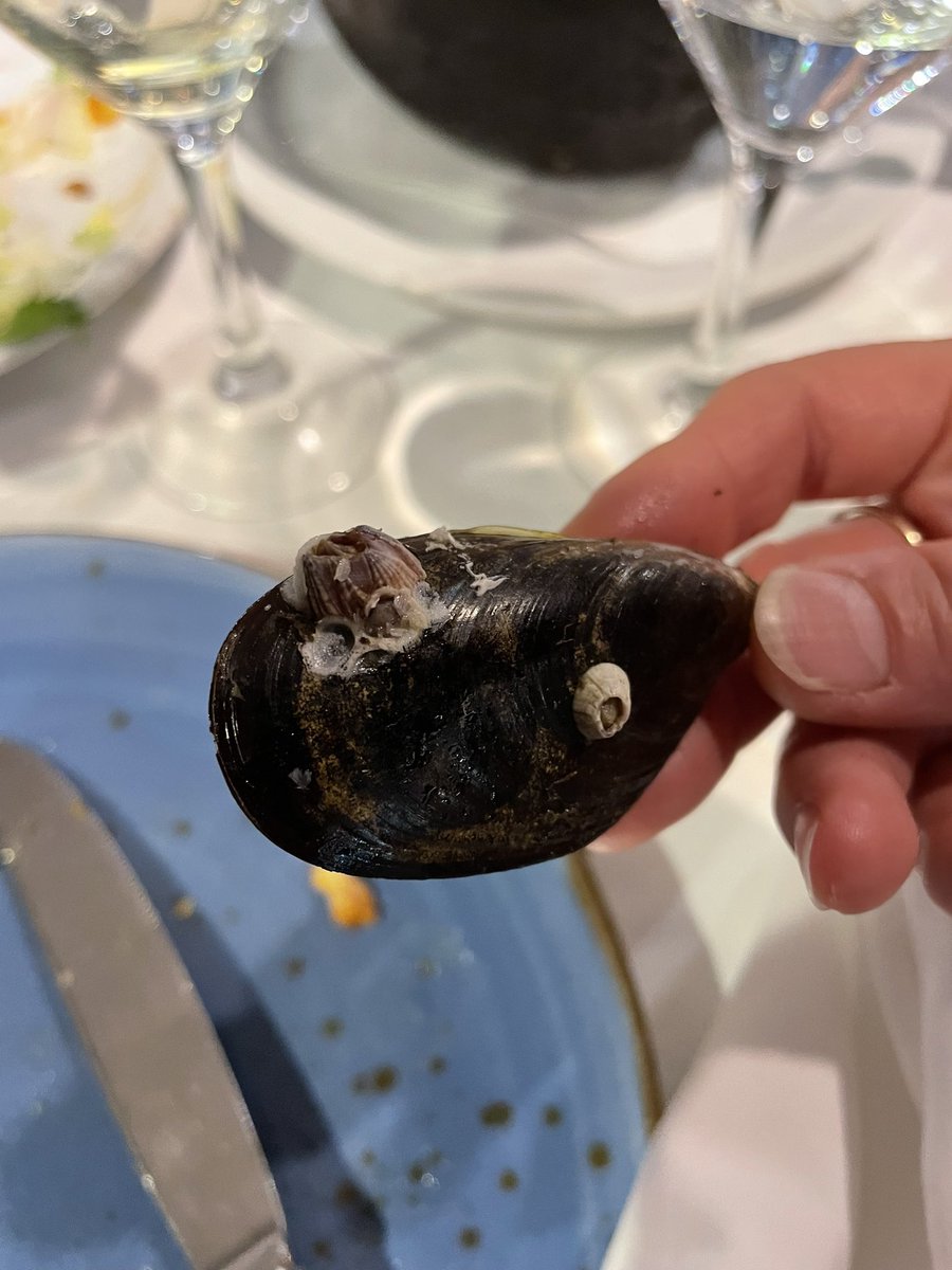 Discussing #bioadhesives at the <a href="/on_found/">ON Foundation</a> dinner #ICRS