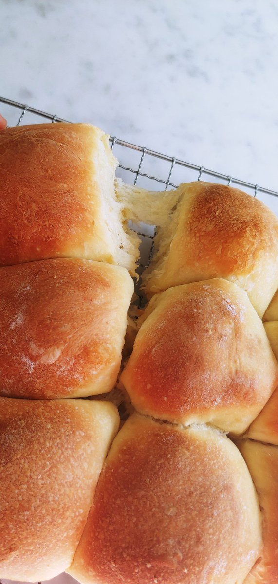 SavageKairn's tweet photo. #Foodies
I baked fresh rolls. They are tender, buttery, and slightly sweet. (The house smells amazing!)
Who wants one?
#freshbaking https://t.co/VQd7g2gddB