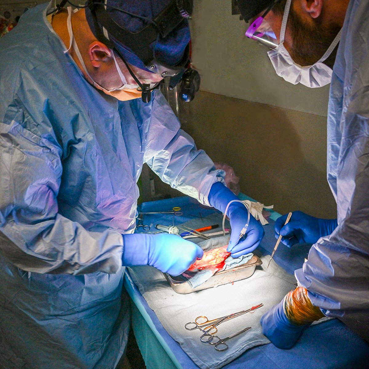 _Anesthesiology's tweet photo. “Anesthesiologists have an important potential role in preventing delayed graft function and thereby optimizing the function of transplanted kidneys.” When it comes to normal saline for kidney transplant, less is more. Read the editorial: https://t.co/vHfxGk85BV https://t.co/nOA0XW2fKV