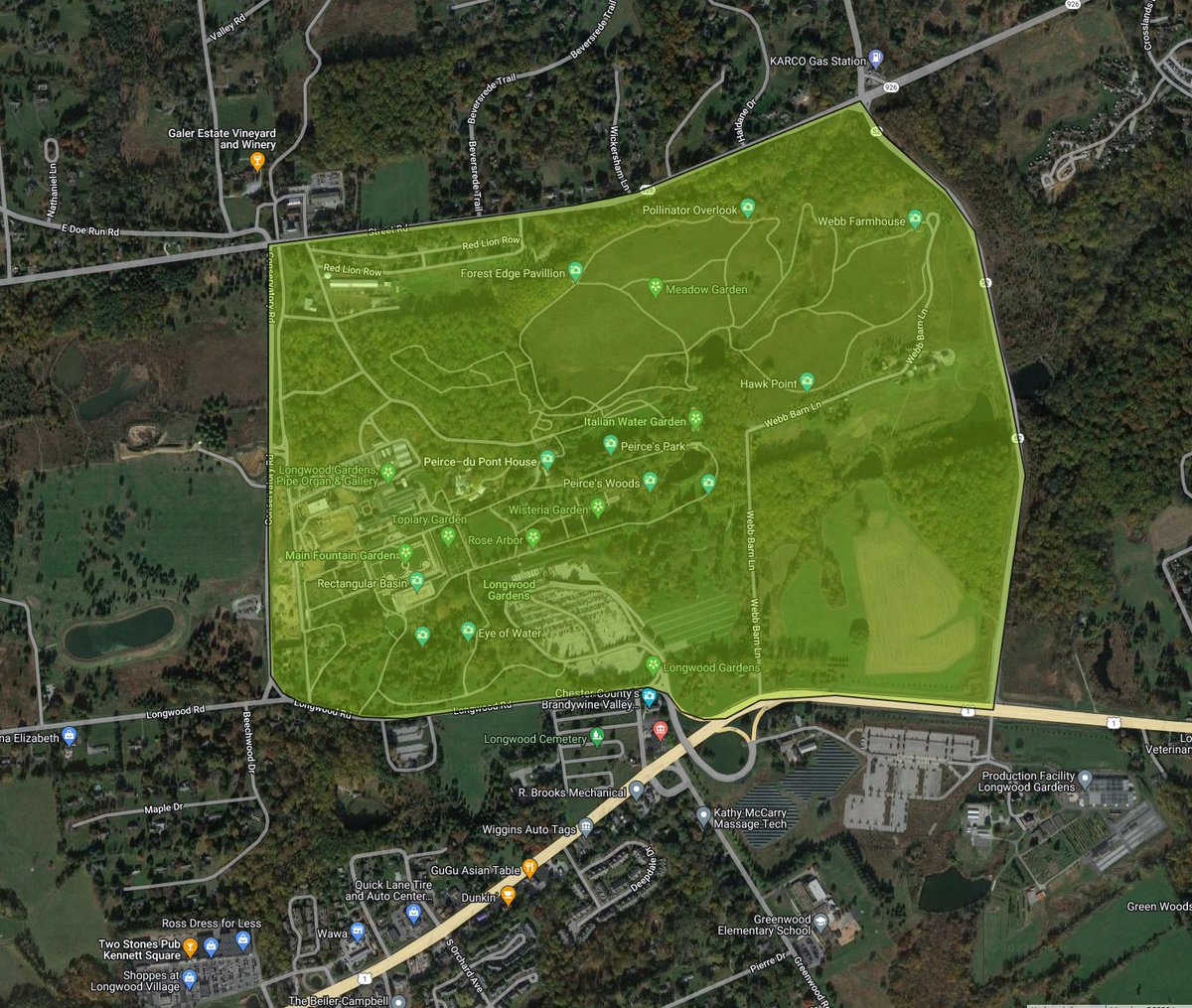 🤩 Michelle 🤩 tweet media