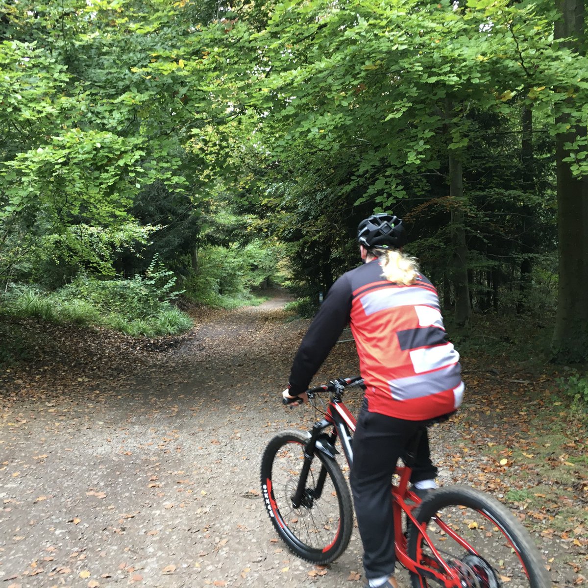 cycleshack25's tweet photo. We're taking a break.  Back with you Tuesday 19th September ... just so you know! #cycling #bikehire #bikerepair #bristol https://t.co/f91of9lzni