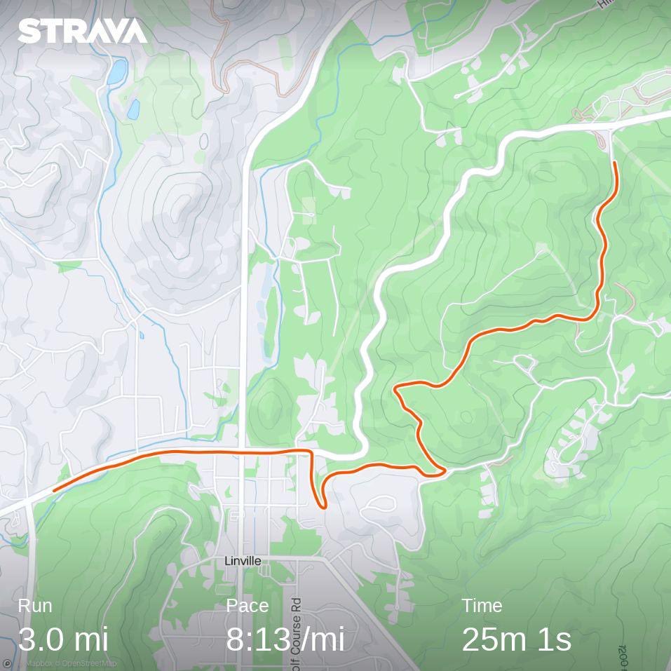 Lunchbox081978's tweet photo. Third and last year at #blueridgerelay. Florida keys relay next year…😳 #run #runner #running https://t.co/B5fvPdQwFe