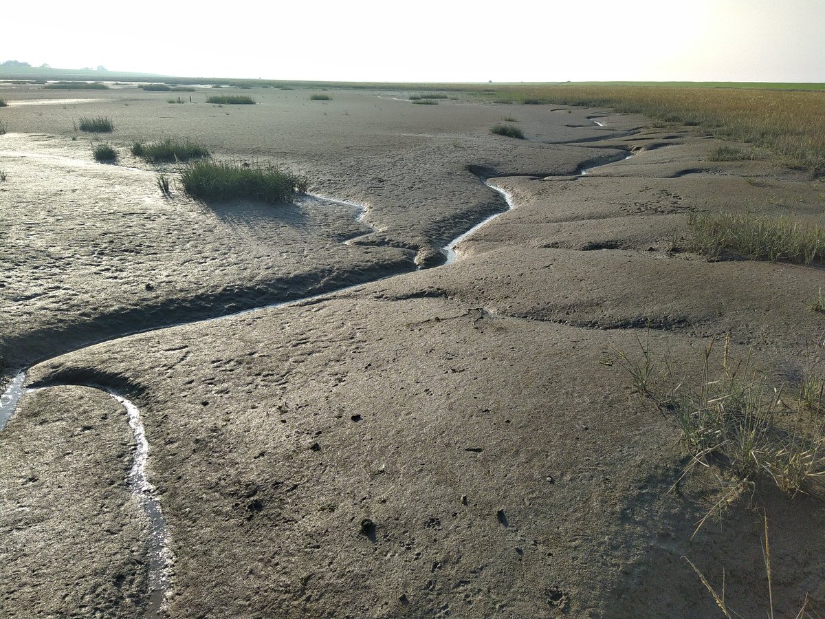 #CoastSnapLangwarderGroden