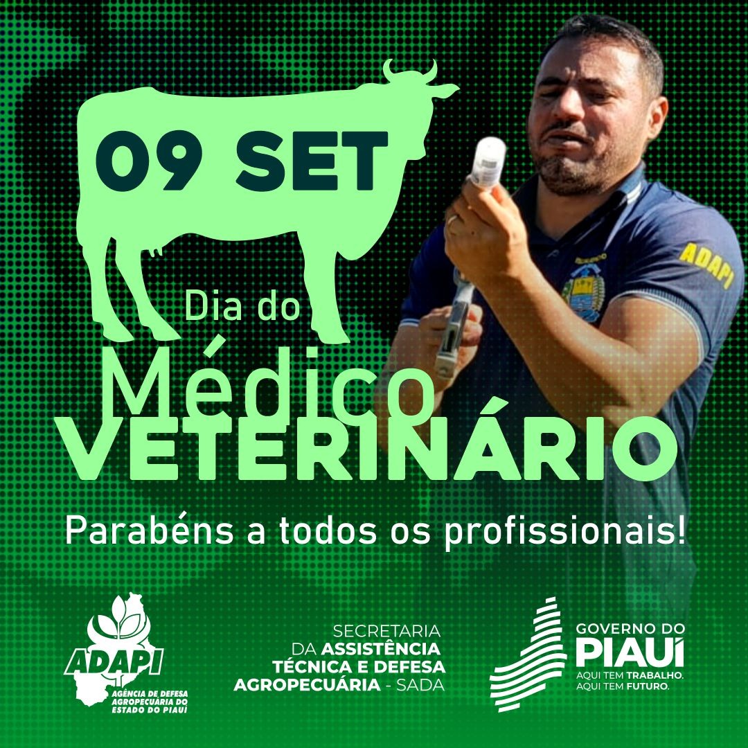 adapi_pi's tweet image. 