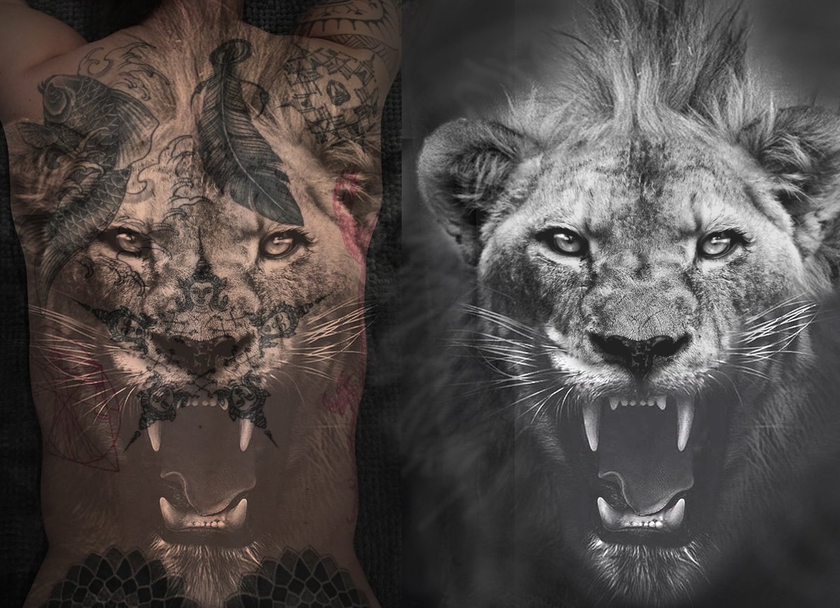 Lions don't compare themselves to humans