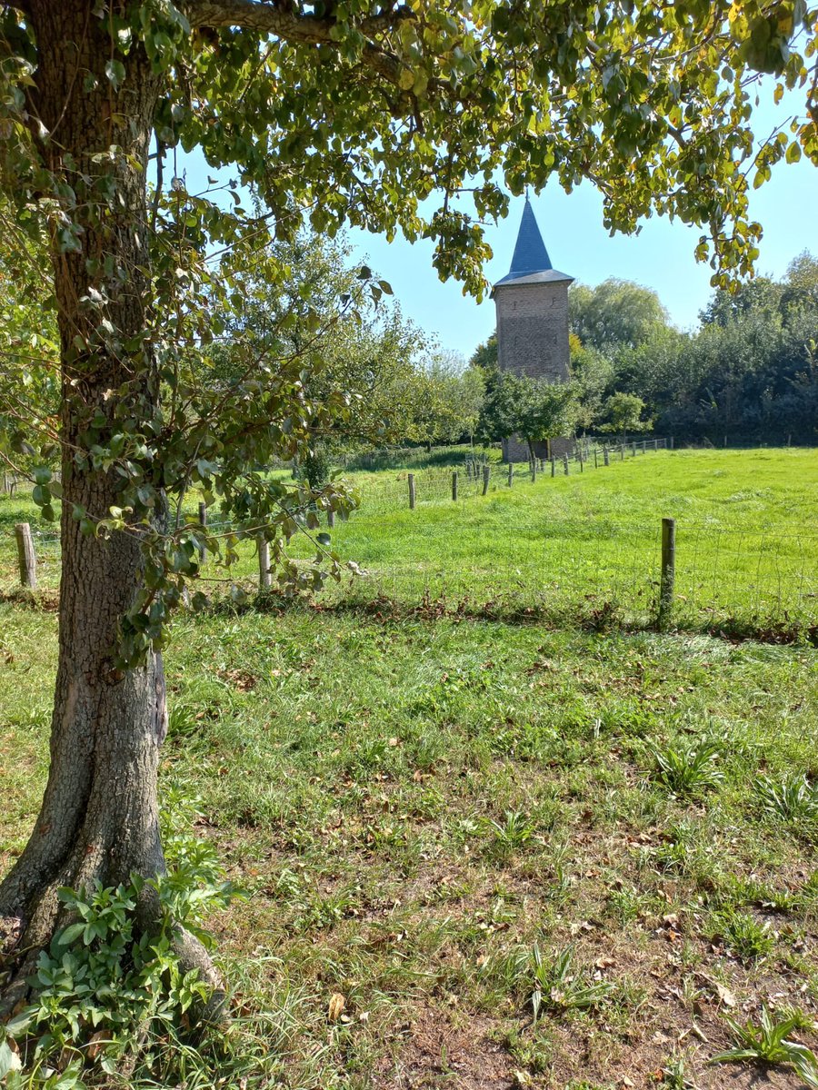 sjorsdekort's tweet photo. Vandaag met de vrijwilligers een mooie Open Monumentendag gehad op het Groot Duijfhuis [Liempde]. De bezoekers kregen een eenmalige unieke blik in onze Heerenkamer en in de Duiventoren. @Brab_Landschap #erfgoed. https://t.co/JrHOkT3Z3Q