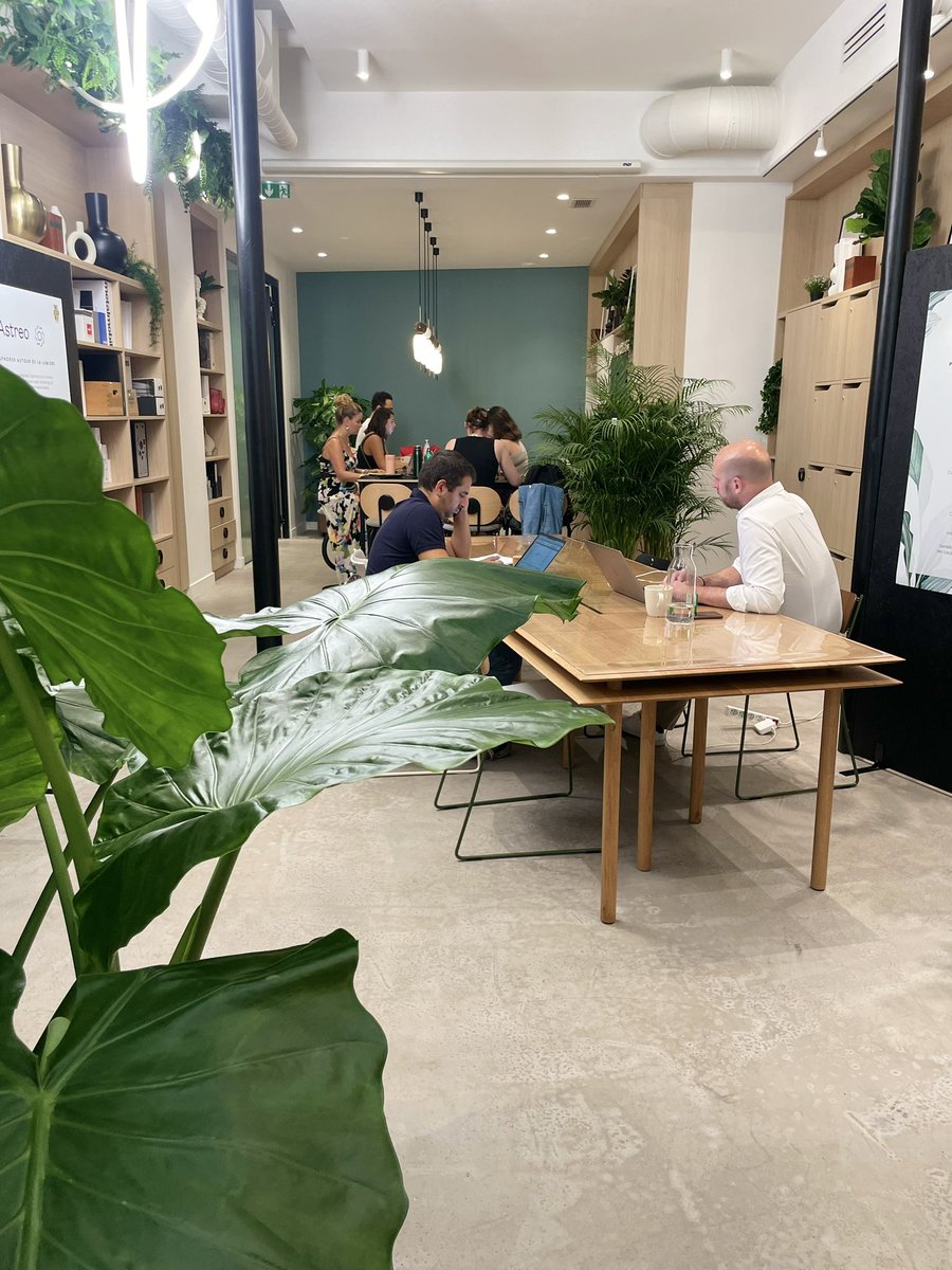 PlantezRespirez (@plantezrespirez) on Twitter photo 