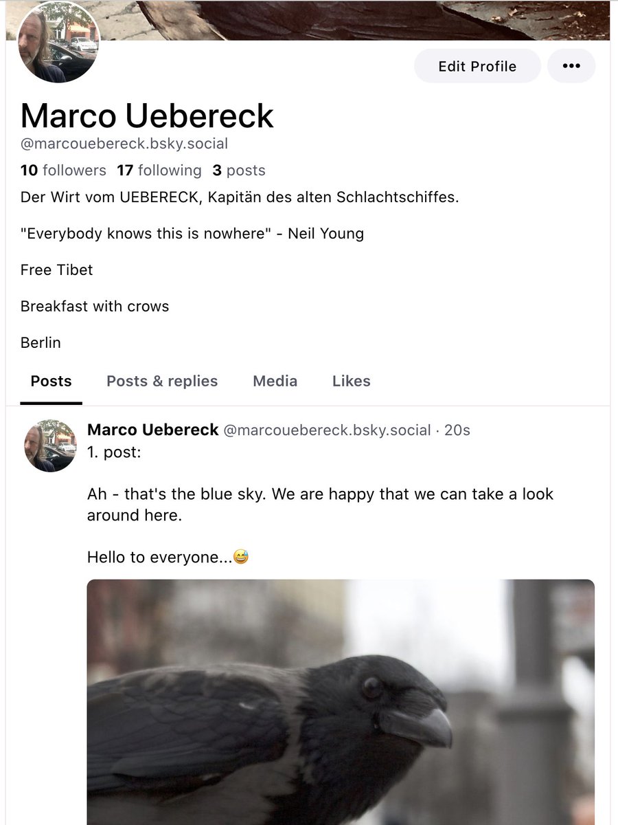 Marco Uebereck tweet media