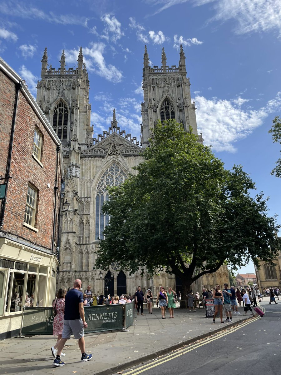#TreeClub outside York cathedral