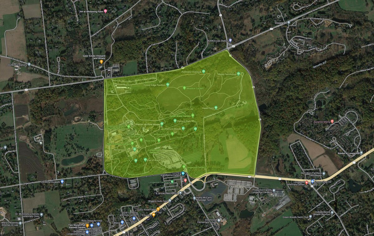 🤩 Michelle 🤩 tweet media