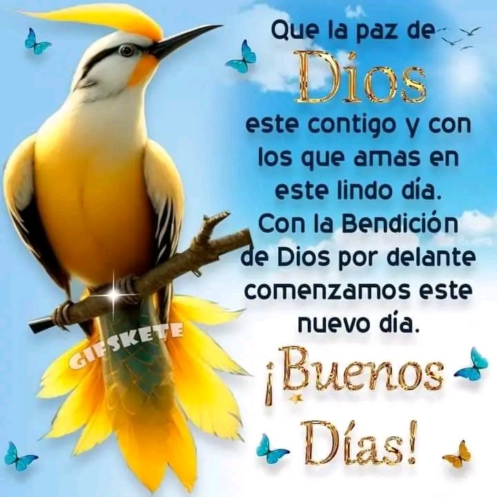 Maribel Ruiz (@maribel69138371) on Twitter photo 