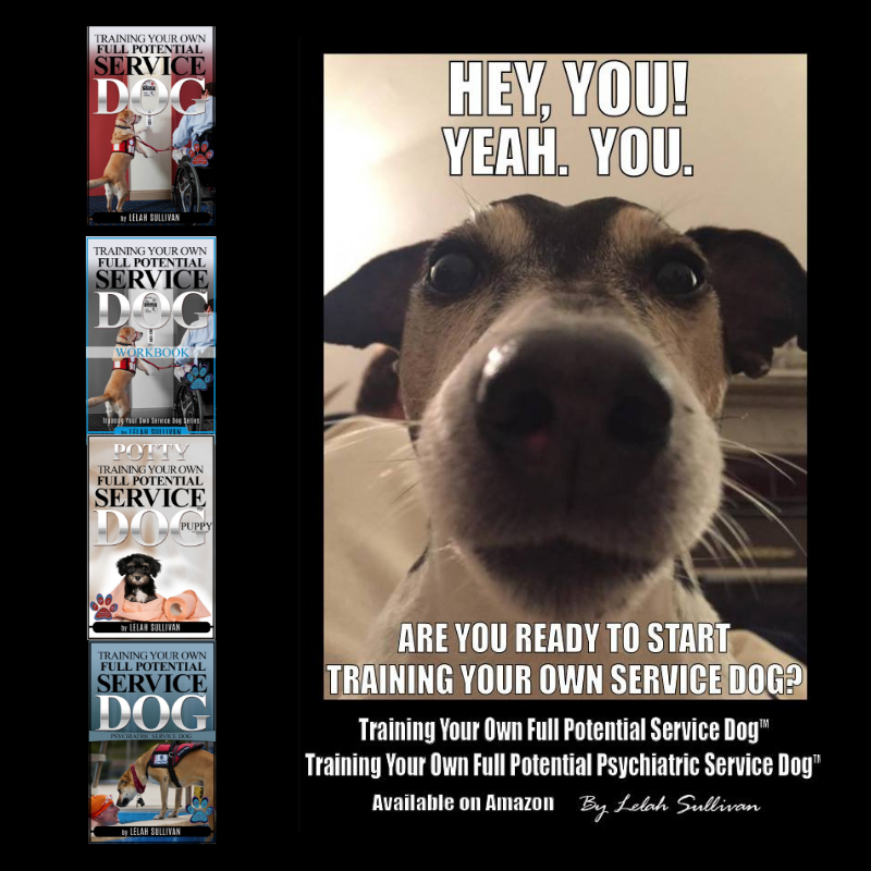 YourServiceDog's tweet photo. Have you heard about the "Training Your Own Full Potential Service Dog" training course?

#YSDIdogs #SullivanMethod

https://t.co/vk1LhHjWbb https://t.co/7DwLE4rzCk