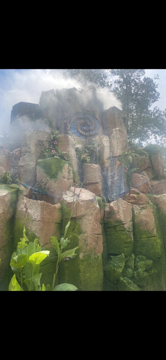 tapioca621's tweet photo. Beyond happy that I got to check out the amazing Journey of Water, Moana inspired attraction early! And thanks to @DisneyD23 we now know that October 16 is when this beautiful celebration of water will open to the public! #DisneyCastLife https://t.co/V5n1g248ai