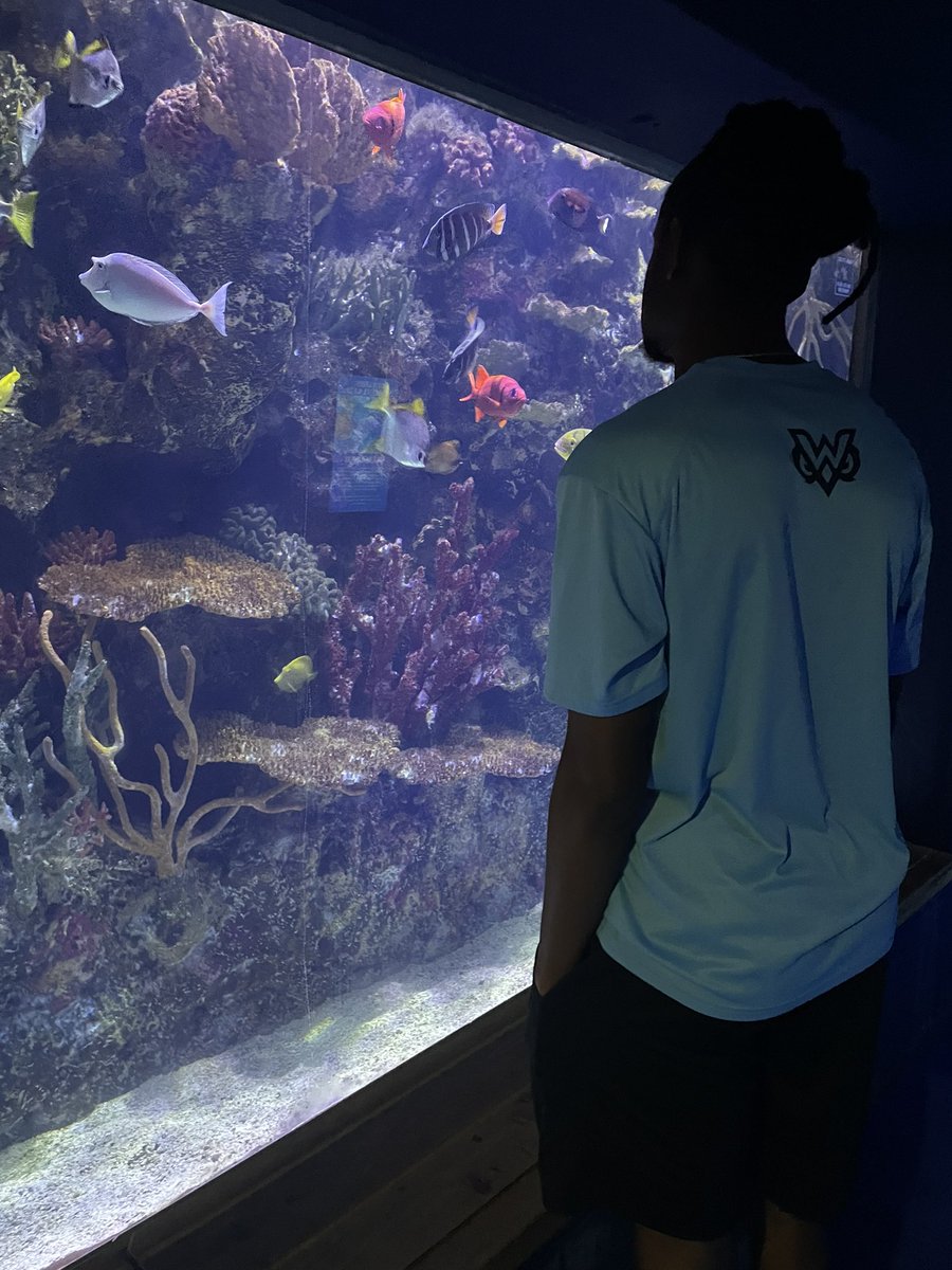 TheWMSOC's tweet photo. Out and about visiting @SHVaquarium #watercreatures 🐠 @thewmsoc🦉⚽️ https://t.co/t2V39ZCdFP