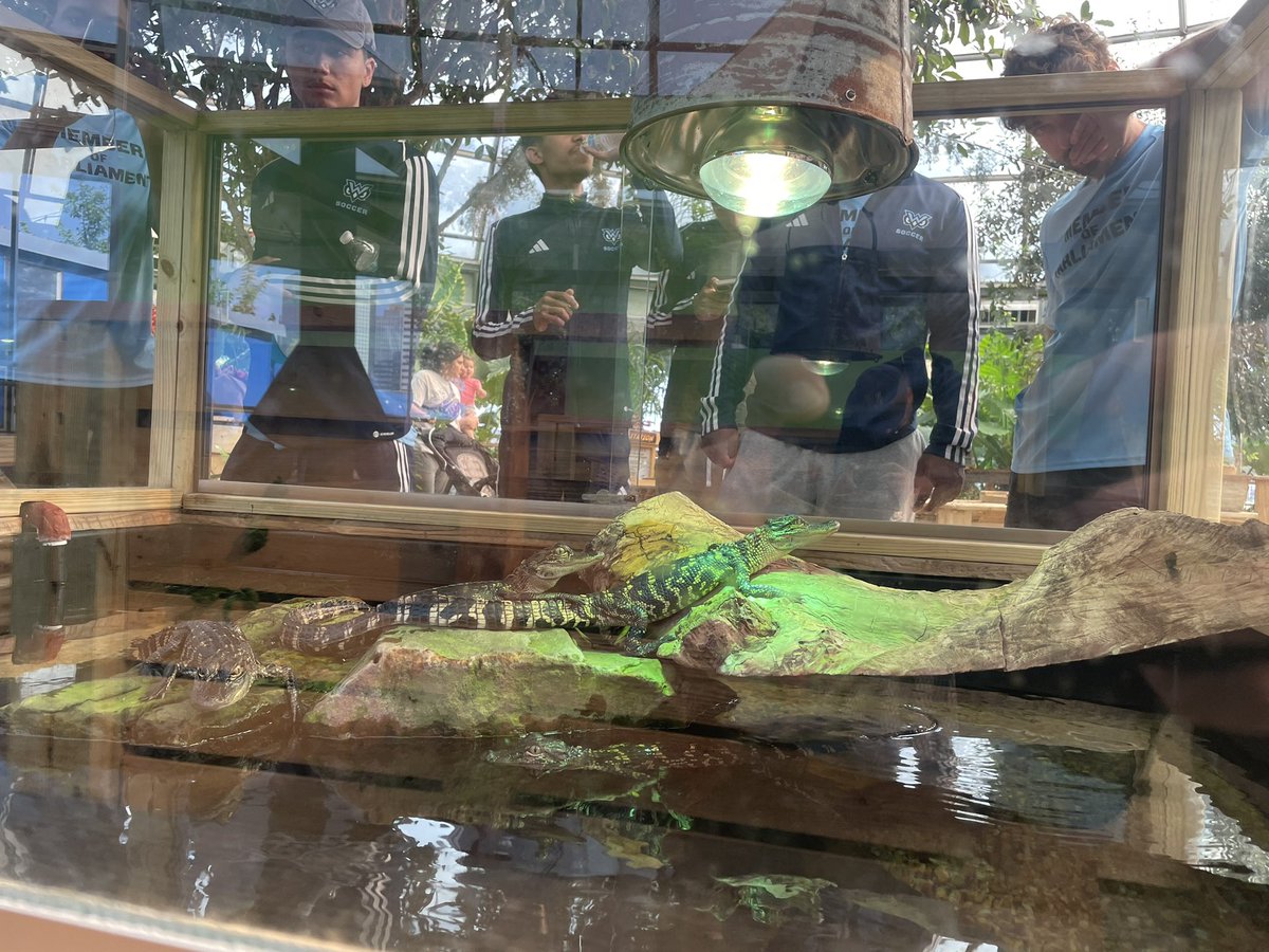 TheWMSOC's tweet photo. Out and about visiting @SHVaquarium #watercreatures 🐠 @thewmsoc🦉⚽️ https://t.co/t2V39ZCdFP