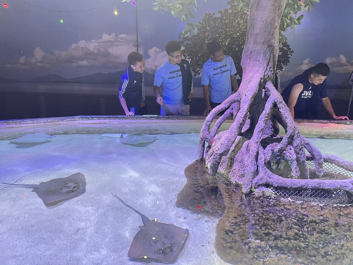 TheWMSOC's tweet photo. Out and about visiting @SHVaquarium #watercreatures 🐠 @thewmsoc🦉⚽️ https://t.co/t2V39ZCdFP