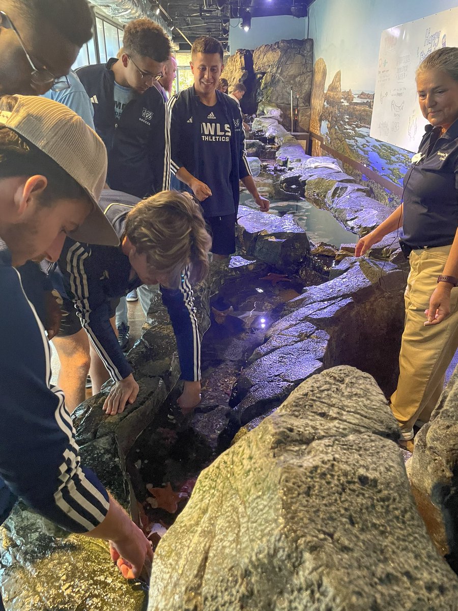 TheWMSOC's tweet photo. Out and about visiting @SHVaquarium #watercreatures 🐠 @thewmsoc🦉⚽️ https://t.co/t2V39ZCdFP