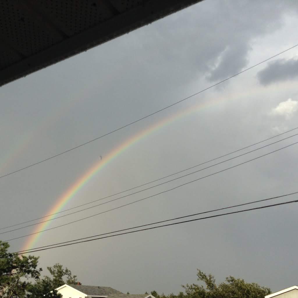 coreycomer38's tweet image. Here some pictures I took