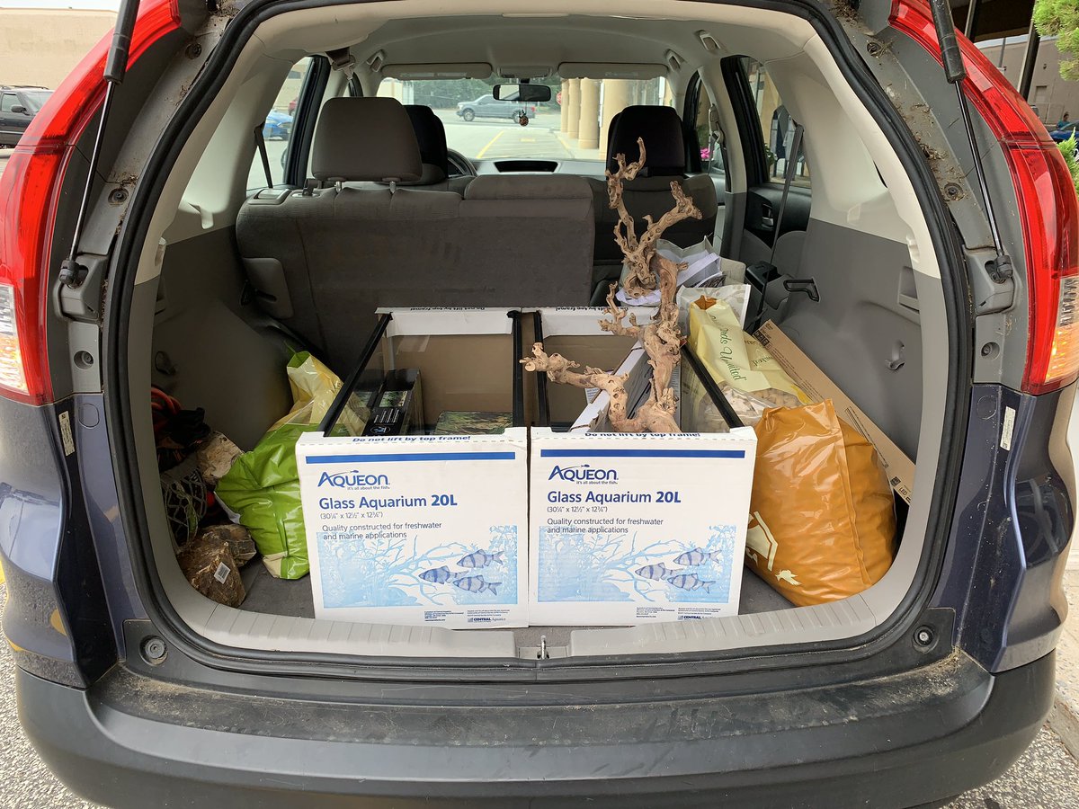 Hobbies.

Aquarium supplies for a new project and wild bird seed.