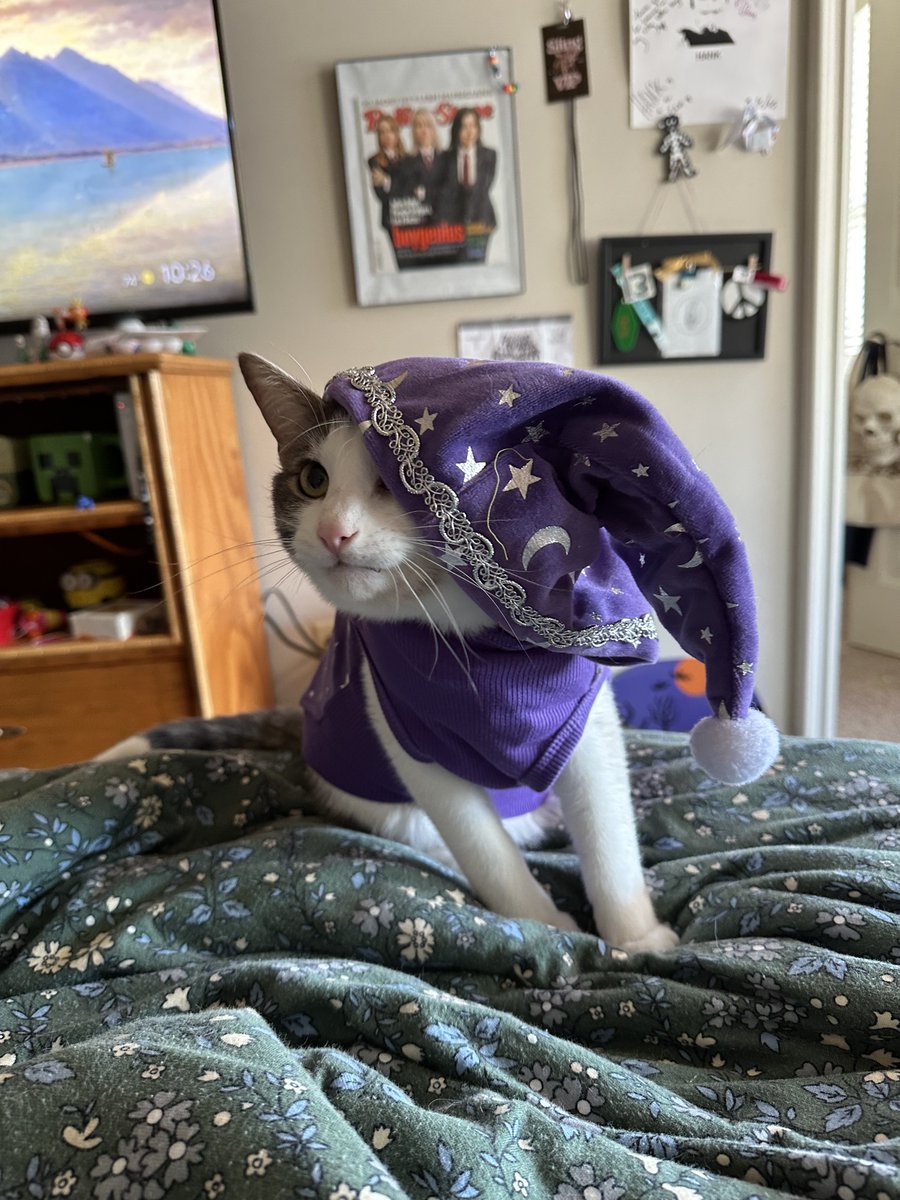cerealandyogurt's tweet photo. parent won’t stop buying us silly costumes https://t.co/6mfD3h3yOY