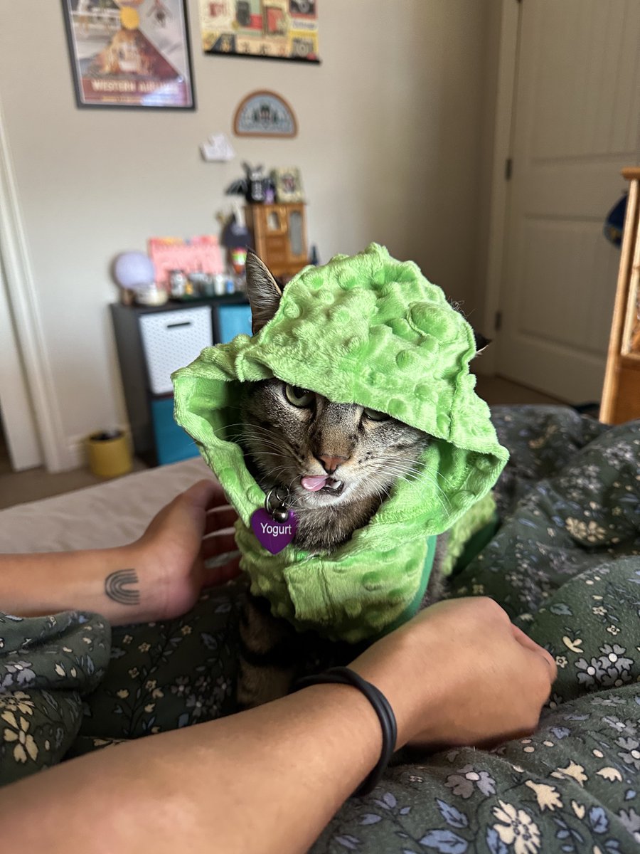 cerealandyogurt's tweet photo. parent won’t stop buying us silly costumes https://t.co/6mfD3h3yOY