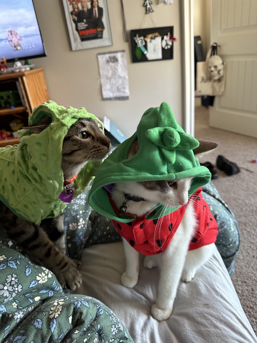 cerealandyogurt's tweet photo. parent won’t stop buying us silly costumes https://t.co/6mfD3h3yOY
