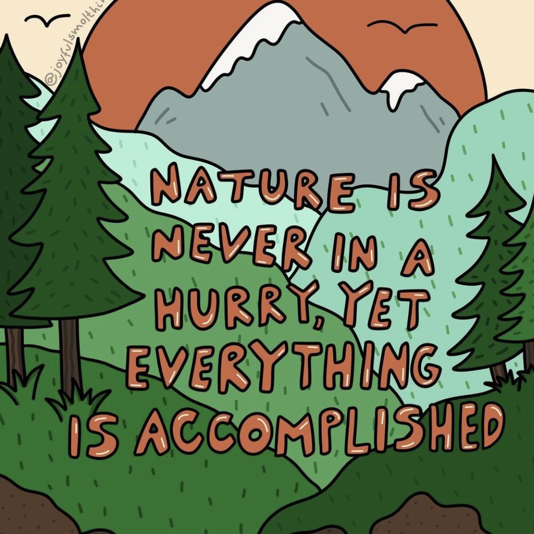 Keep moving calmly forward. Nature is never in a hurry yet everything is accomplished 🌿

Image: instagram.com/joyfulsmolthin…