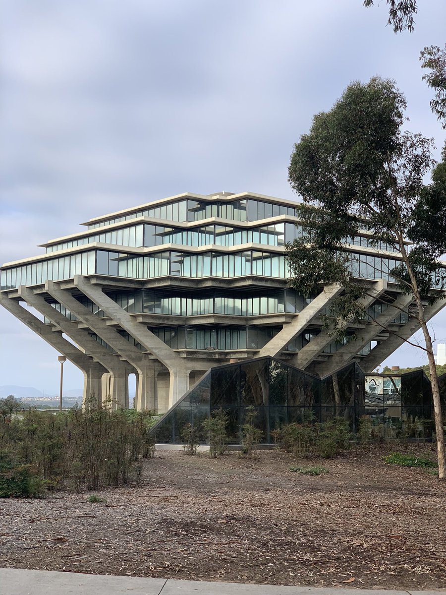 Bbbbriany's tweet photo. #UCSD https://t.co/Vt6ya8JZHV