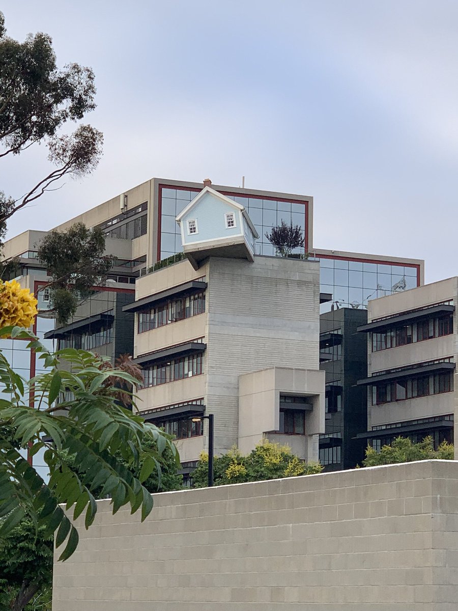 Bbbbriany's tweet photo. #UCSD https://t.co/Vt6ya8JZHV