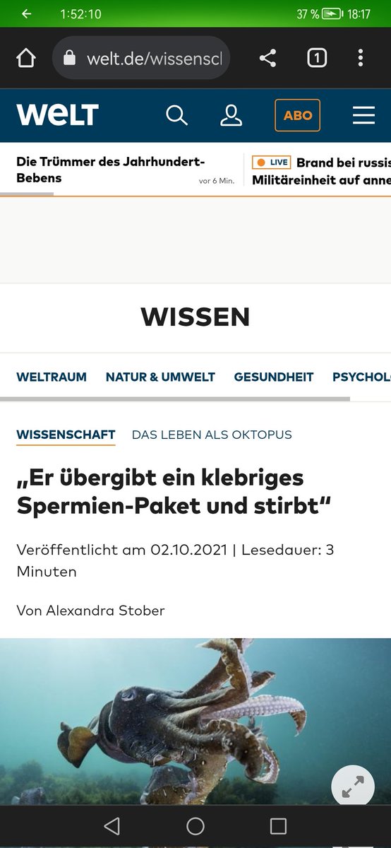 dead_lnside_'s tweet photo. Danke @welt https://t.co/T0SQUBAnOq