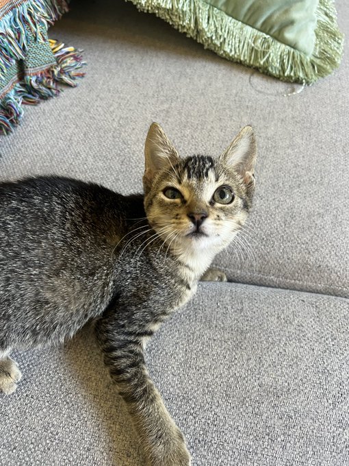 Day 1 vs day 60 🥹 https://t.co/72xneWxlt6