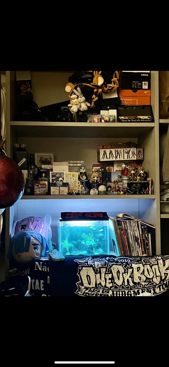 abechad's tweet photo. 全然寝れないから熱帯魚に沼る前の去年の7月の画像と今の画像貼っとくわ。誰かペルヴィカのメス譲ってください。あとグッピー水槽にブラックモーリー入れると数日で落ちるのなんでなん。 https://t.co/JYGIA9mZ9a