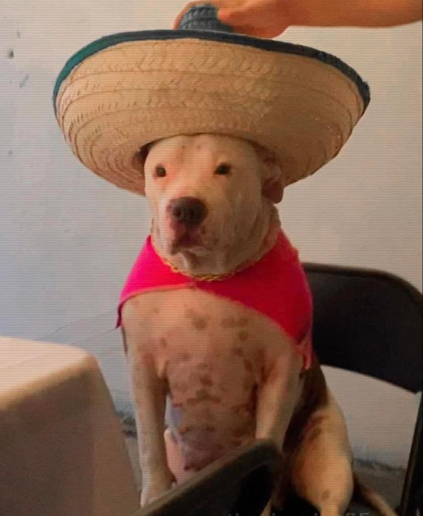 ya saquen el pozole