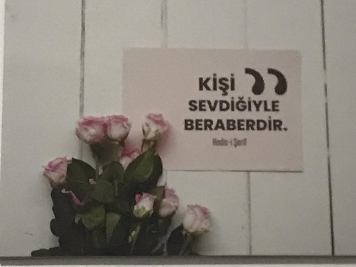 Recep Ç. (@rcpclk66) on Twitter photo 