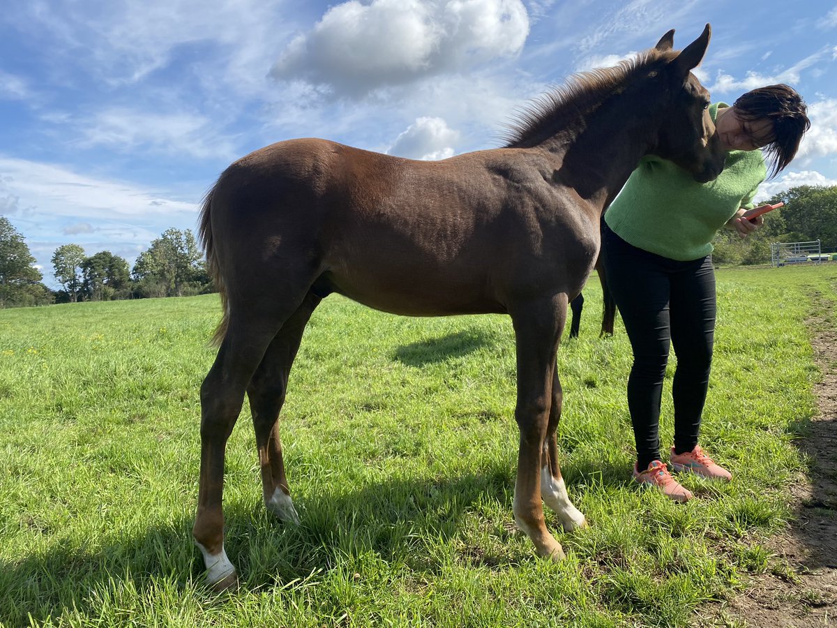 Snabb di!
Eller Gunnar som jag kallar honom. 
Nuncio-Vera Spiro 🥰
Vacker så det räcker och blir över. ❤️