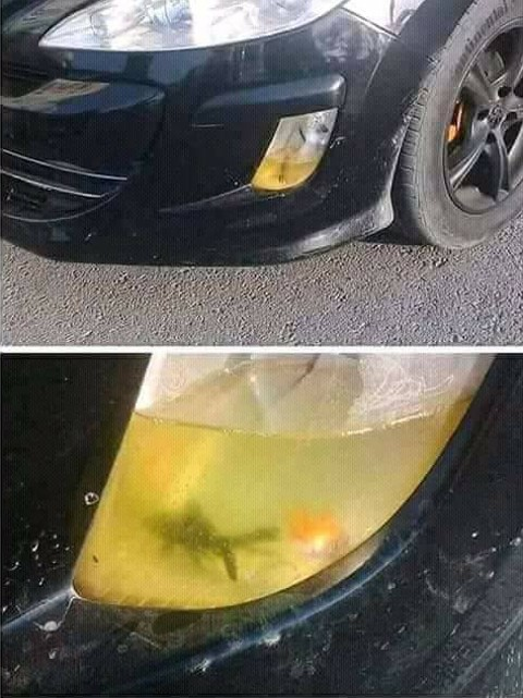 MemesOfCars tweet picture