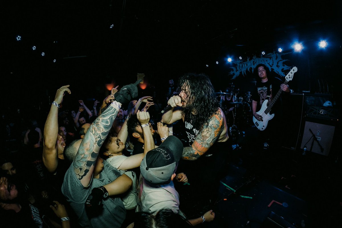 Toby Filip tweet media