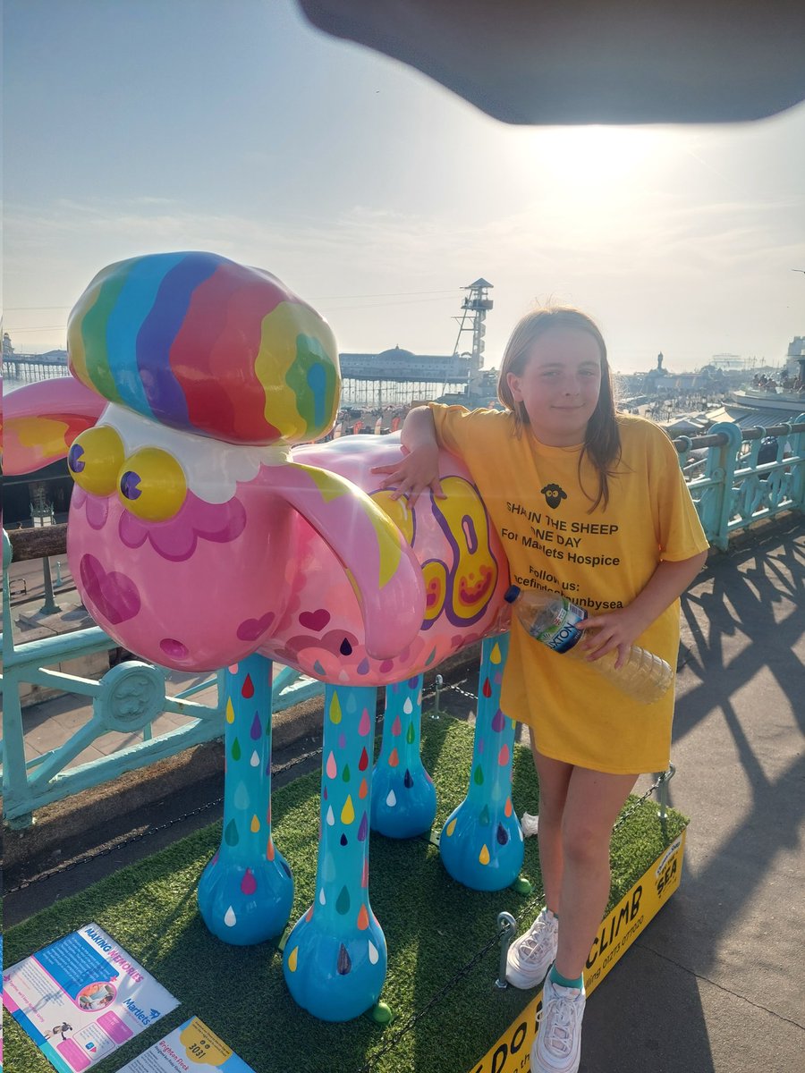 No29! Not far away now....<a href="/ThePinkyvision/">Pinkyvision</a> #BrightonFlock <a href="/shaunbythesea/">Shaun by the Sea</a> <a href="/martletshospice/">Martlets Hospice</a>