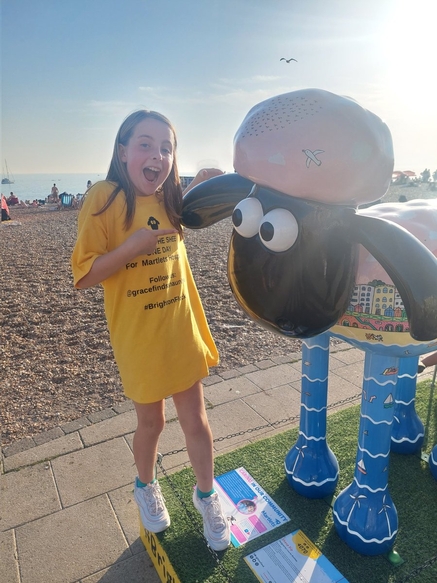 Brighton beach!! #BrightonFlock <a href="/shaunbythesea/">Shaun by the Sea</a> <a href="/martletshospice/">Martlets Hospice</a>