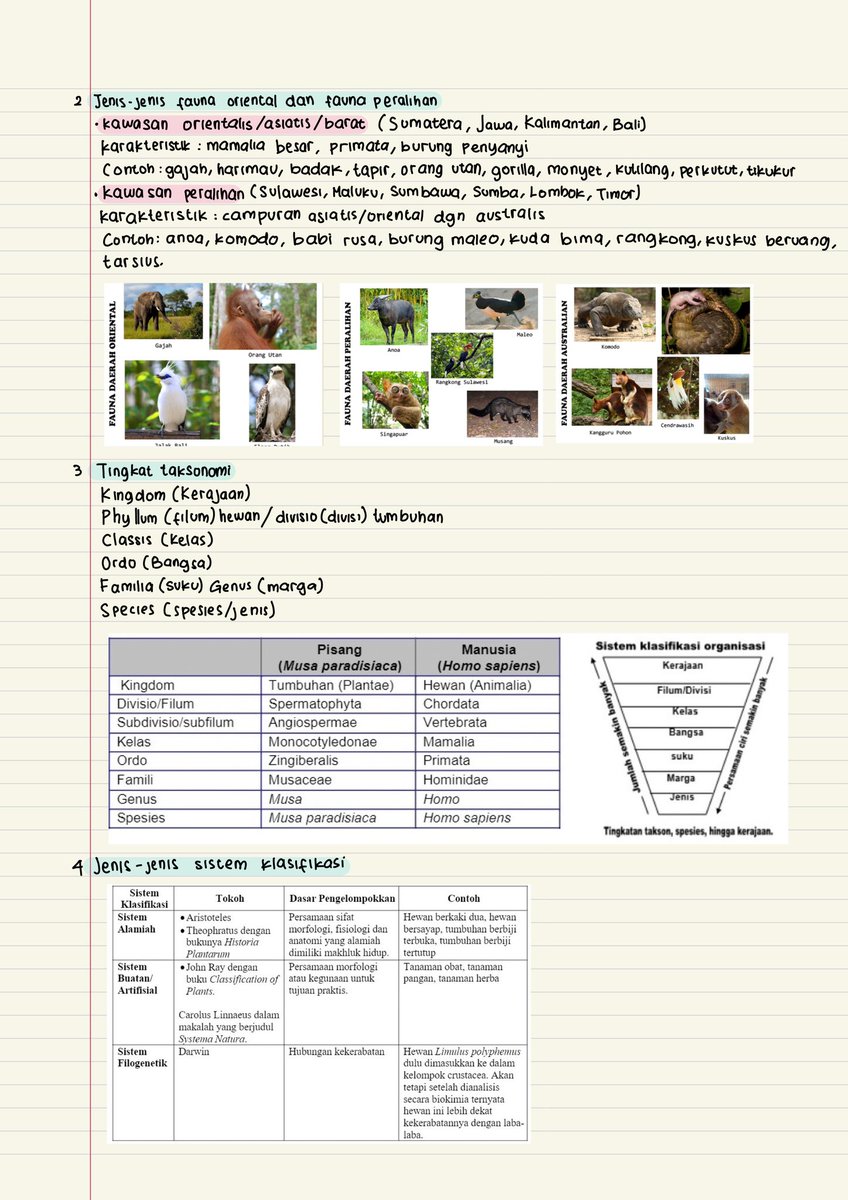 neelaiscat's tweet photo. Biologi kelas 10 https://t.co/OJvC59dmFw