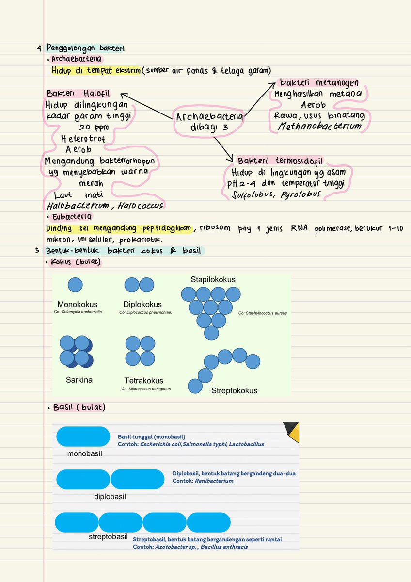 neelaiscat's tweet photo. Biologi kelas 10 https://t.co/OJvC59dmFw