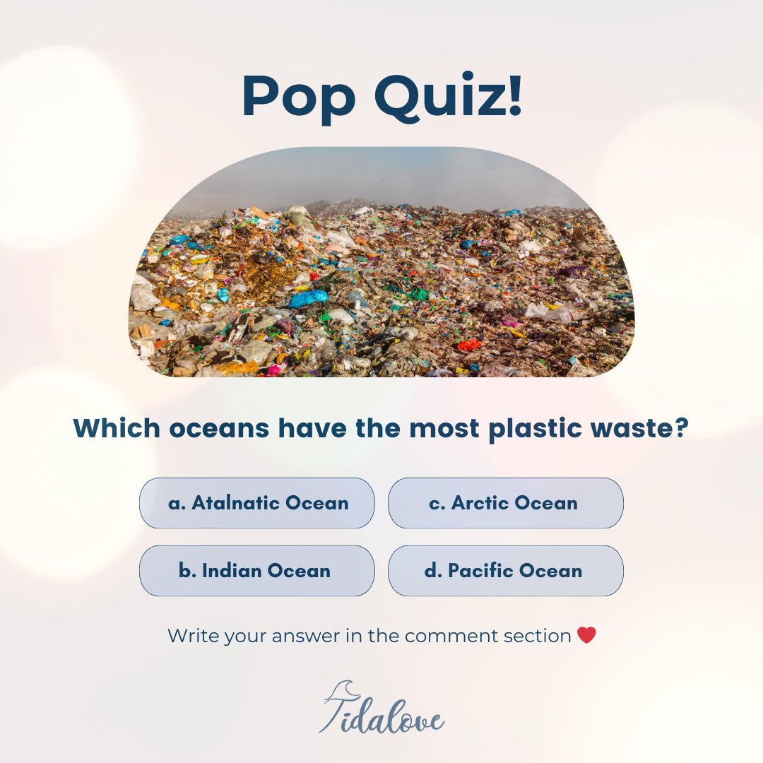 🌊 Fun Fact Time! 🌊

Which oceans have the most plastic waste?

a) Atlantic Ocean
b) Indian Ocean
c) Arctic Ocean
d) Pacific Ocean

Please tell us your guess! ❤️

#SustainableSelfCare #EcoFriendlyBeauty #PlasticFree #ZeroWasteWellness #Refill #Tidalove #ChooseResponsibly