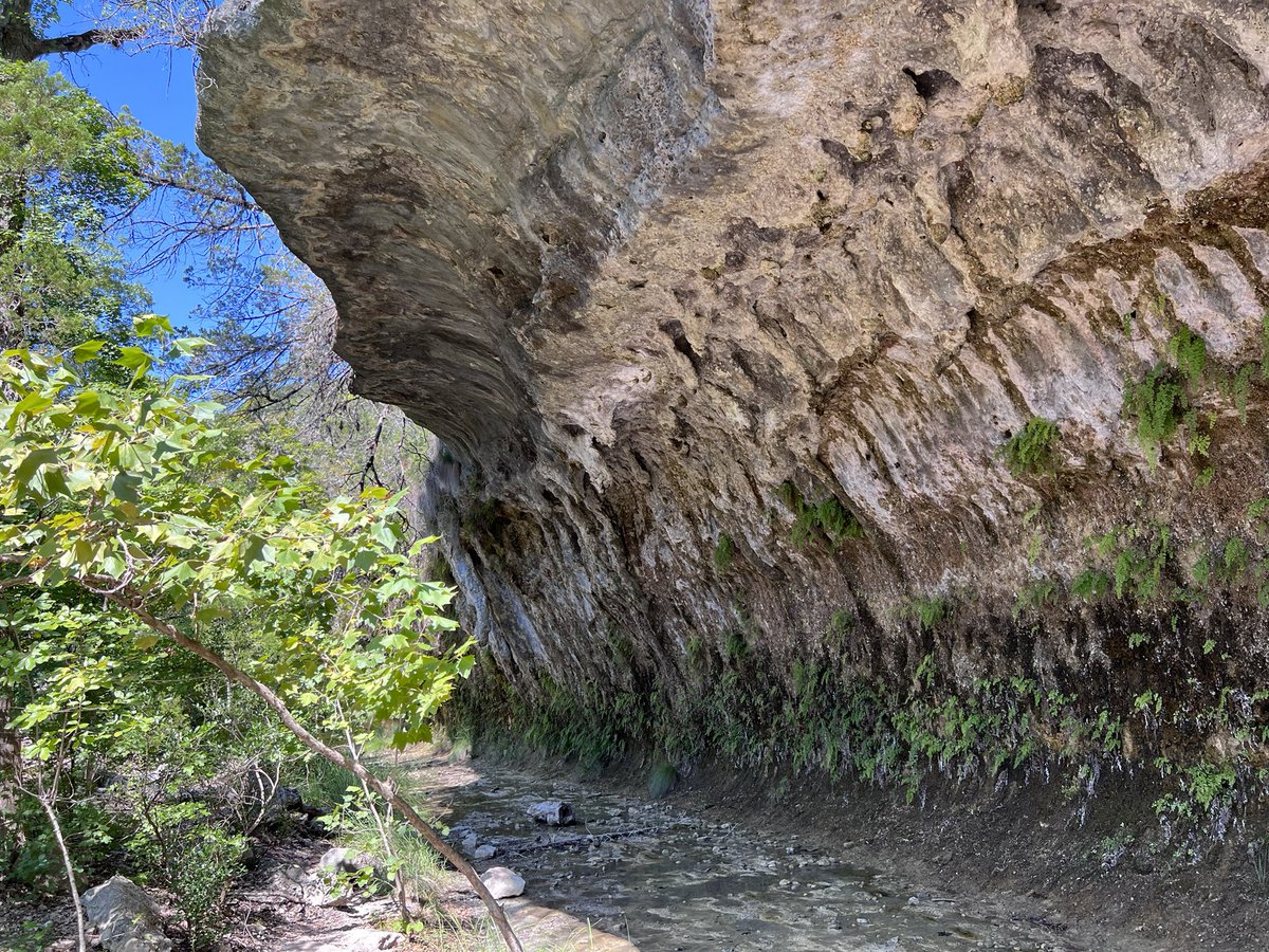 Nice scenery at lost maples state park.  #nature #monkeyrock