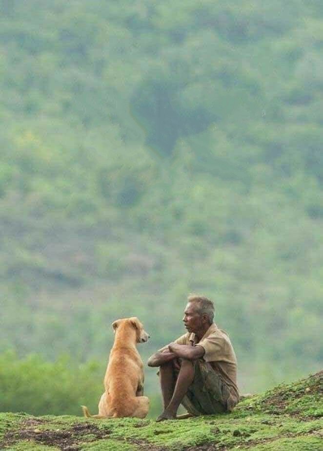 बाहेरून शांत जगण्यासाठी त्या आगोदर आतून खूप लढावं लागतं..!❤️
#जगणं